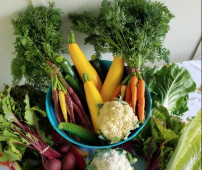 Screen Shot 2020 08 08 at 10 16 13 PM e1596939828935