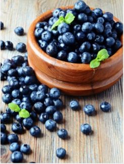 Screen Shot 2021 07 19 at 7 13 10 AM e1626693591117