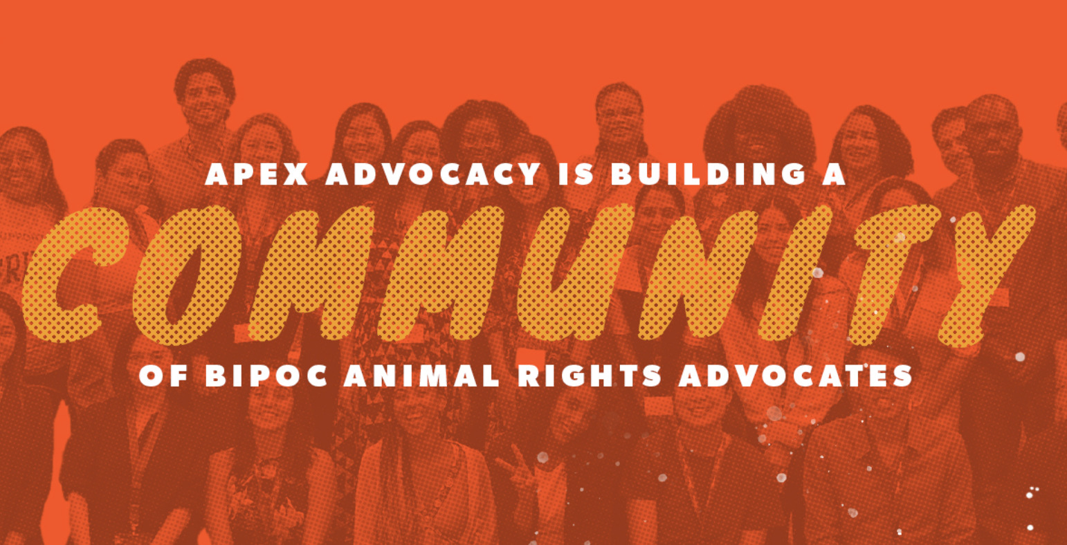 Screen Shot 2023 12 30 at 12 18 25 AM