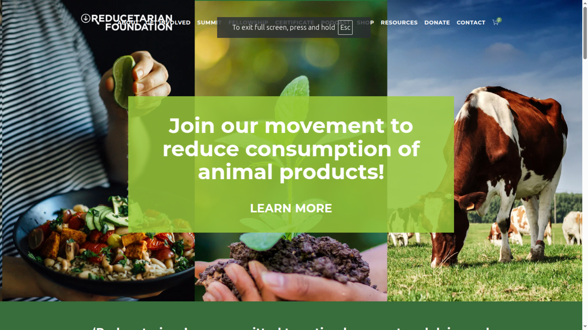 Collage showing plant based meals, hands planting a seedling, and cows grazing in a field, featured on the Reducetarian Foundation website encouraging reduced consumption of animal products 